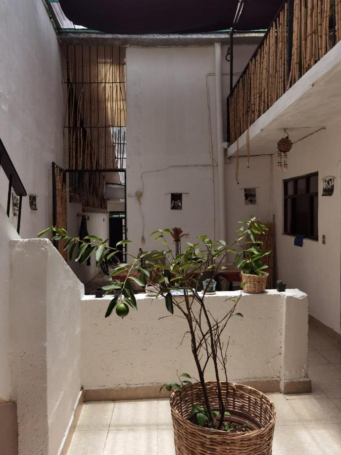 El Rinconcito De San Cris Hotel San Cristóbal de Las Casas Exterior foto
